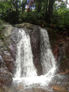 Oshi Villa - Ellagawa, Ingiriya - Eco Lodge - Ingiriya - 5