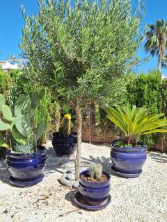 Cocoonly - San Juan de los Terreros - 5
