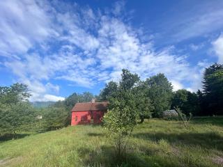 The Oliver Rice House - 1