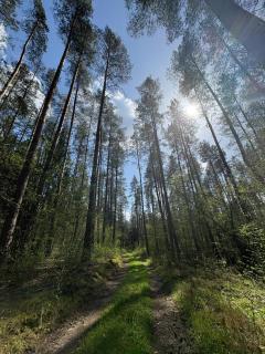 Agroturystyka Żółta Ostoja - Lipowo - 8
