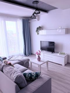 Simple and Modern, apartament with rating 10 out of 10, WiFi, parking, air conditioning, free cancelation - Timişoara - 7