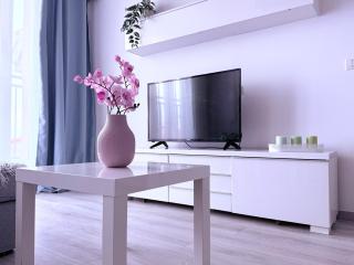 Simple and Modern, apartament with rating 10 out of 10, WiFi, parking, air conditioning, free cancelation - Timişoara - 2