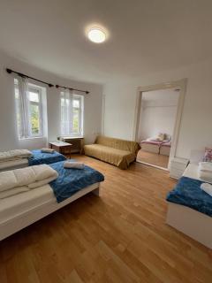 Hideaway house 01 with garden & free parking - Budapest - 7