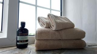 Menadue Cottage, Trenale Lane, Tintagel, Cornwall - Treknow - 9