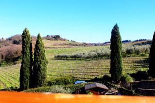 Ecological house in Chianti - Barberino di Val dʼElsa - 9