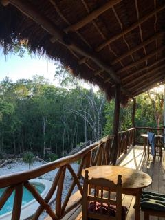 The Jungle Peaceful house - Playa del Carmen - 2