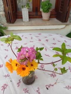Creta traditional experience in nature and Cretan country side - Mesochórion - 6