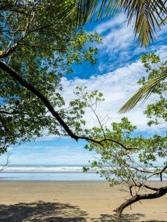 Tangoré - Uvita - 3