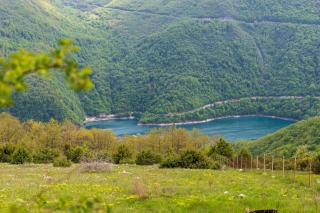 Micanovic Family House - 0