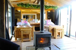Rustic Country Cabin, Bring Horses, Fire Pit & Puppies - - 3