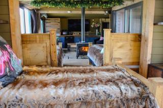 Rustic Country Cabin, Bring Horses, Fire Pit & Puppies - - 3
