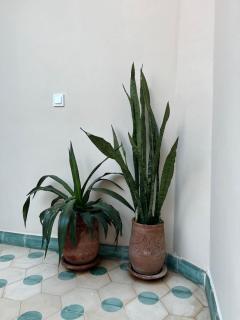 Riad Imndi - Marrakesh - 2