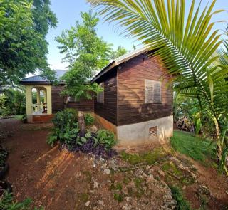 Negril Humble Cabin - Negril - 4
