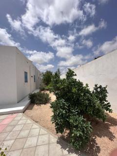 Fares house - Houmt El Souk - 6