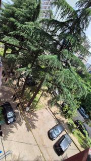 Apartaments in Batumi - Batumi - 2