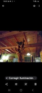 La Maison des Fous - Papudo - 0