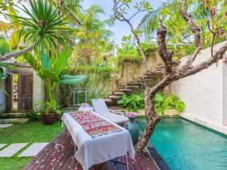 DIC Villa Canggu - Canggu - 2