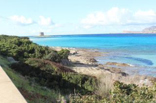 Casa Stintino, vicino spiaggia La Pelosa - Stintino - 1