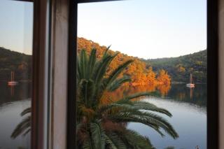 Apartments Soline - National park Mljet - Goveđari - 9