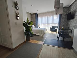 Loft Rosal 3 - Oviedo - 9