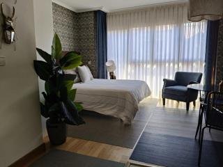 Loft Rosal 3 - Oviedo - 8