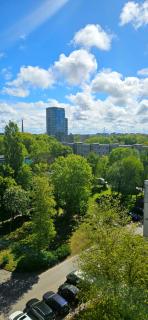 Sunny - Murava - 8