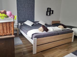 Vida Apartman - Pusztavacs - 5