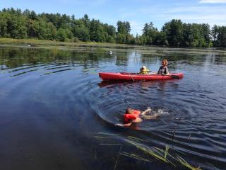 Damariscotta Lakefront 3BRplus - Jefferson - 6