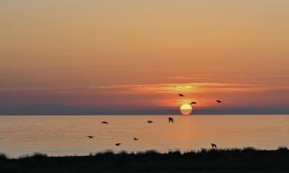 CORAL Suites - Nei Poroi - 3