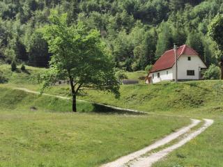 Idina domačija - Trenta - 4