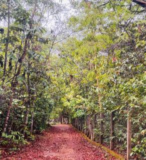 Chácara Recanto do Sossego - 4