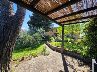 Tra gli ulivi e il panorama - Orvieto - 1