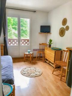 Cozy studio - La Foux - 8