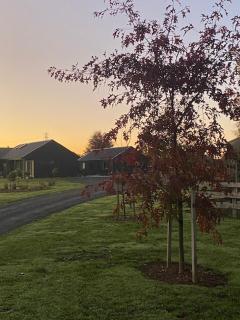 Cabin-on-Swayne - Cambridge - 3