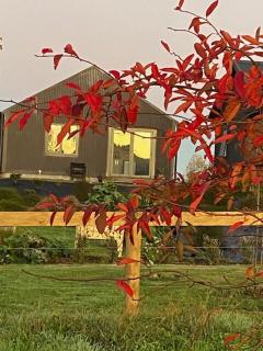 Cabin-on-Swayne - Cambridge - 2