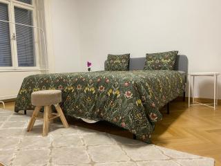Luxury Serviced 3-Bedroom Flat in Vienna's 1st District - Viena - 6