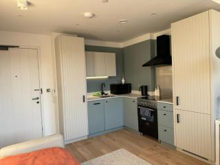 Brentford Studio Apartment - Brentford - 0