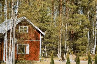 Nordic Eco Retreat with Sauna, Firepit and Slow Living - Kesälahti - 9
