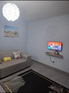 Melz & Sno Apartments - 3