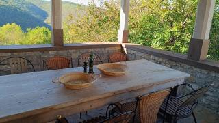 Villa Mare - a natural paradise near Motovun - Brkač - 3