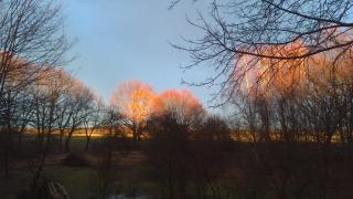 Familienhotel Brandtsheide - 2