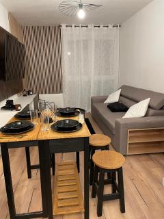 T2 design centre Aucamville avec Parking - Aucamville - 7
