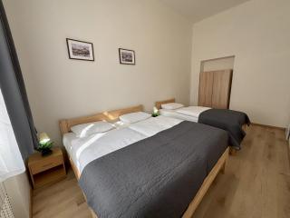 Prague Deluxe City Center Apartment - Praga - 8