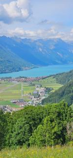 The Saxeten alps - Arni Alp - 8