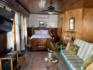Casa Acuario Boutique Hotel - Bocas del Toro - 7