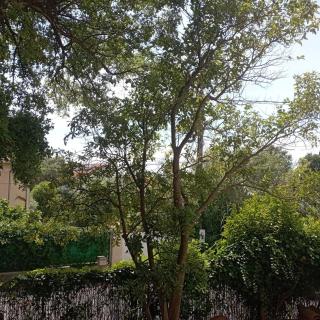Ground floor 2 rooms St-Raphaël - Saint-Raphaël - 6