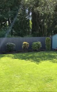 Home in Stormont - Belfast - 6