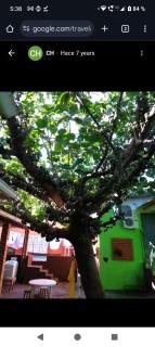 Hostel Mandala - Foz do Iguaçu - 8