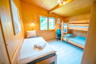 Chalet vue Alpes et lac - - 1
