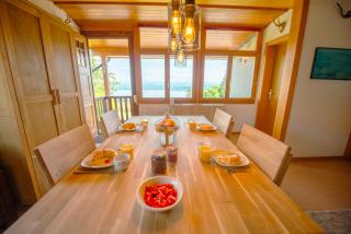 Chalet vue Alpes et lac - - 9